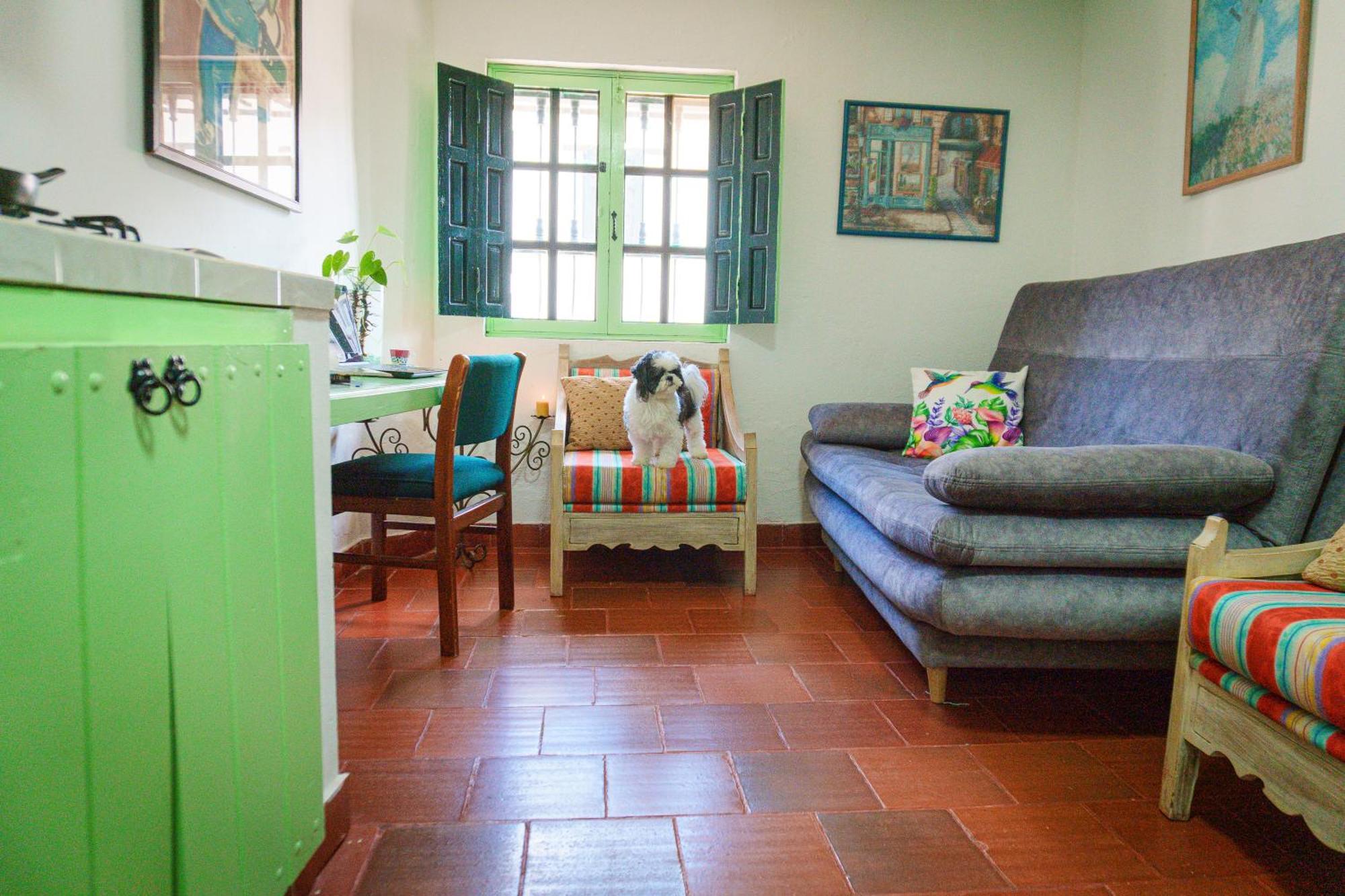 Apartamentos Y Habitaciones Le Colibri - 莱瓦镇 外观 照片